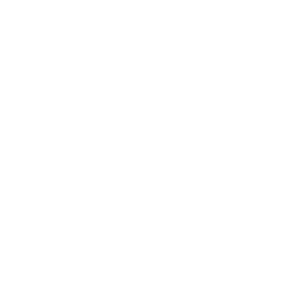 Les trésors de Maromy